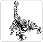 Scorpio Astrology Sign